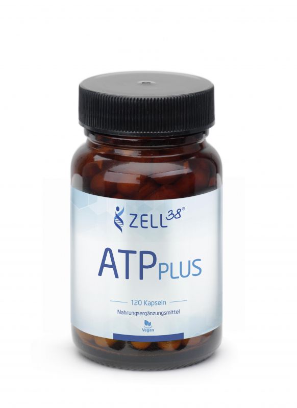 Zell38 ATP Plus