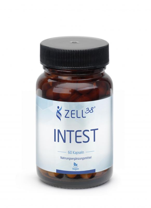 Zell38 Intest Silizium + Bio Chlorella